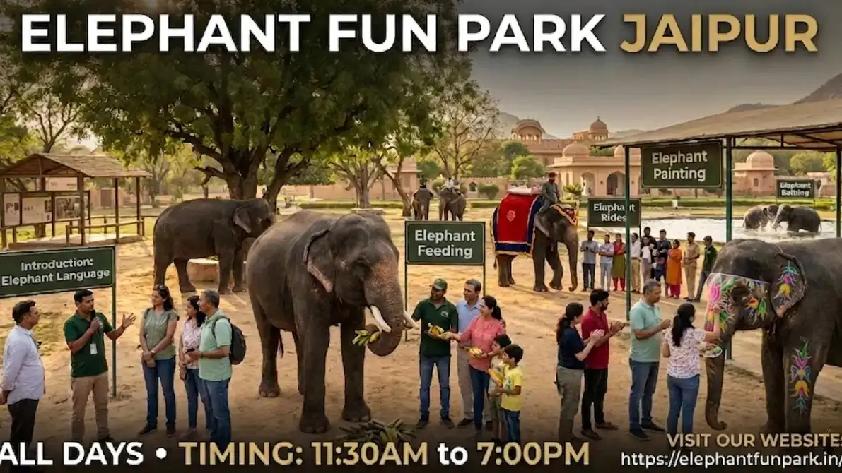 Elephant Fun Park - Jaipur