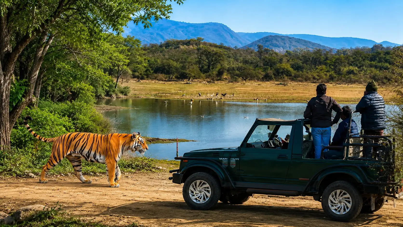 Alwar-Sariska Tiger Reserve