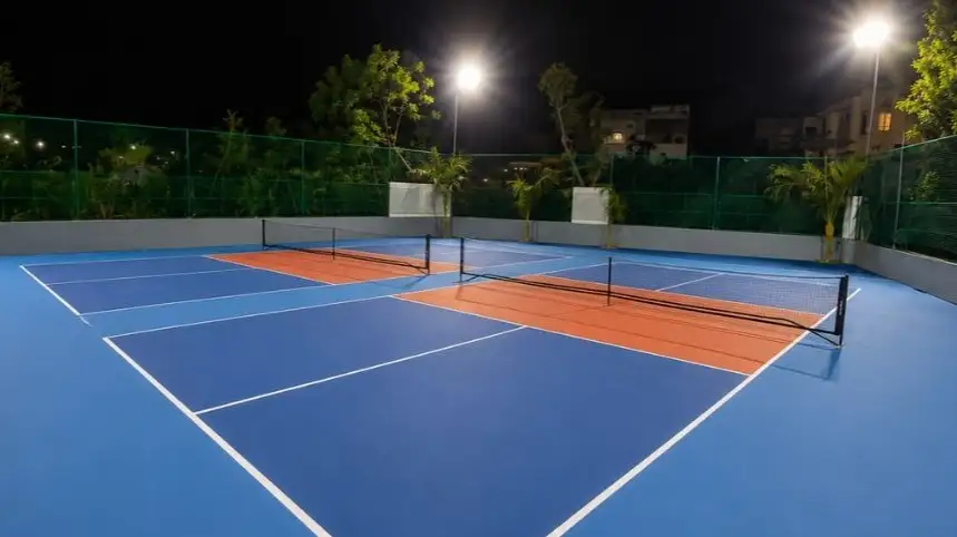 Heera Cricket Box Pickleball